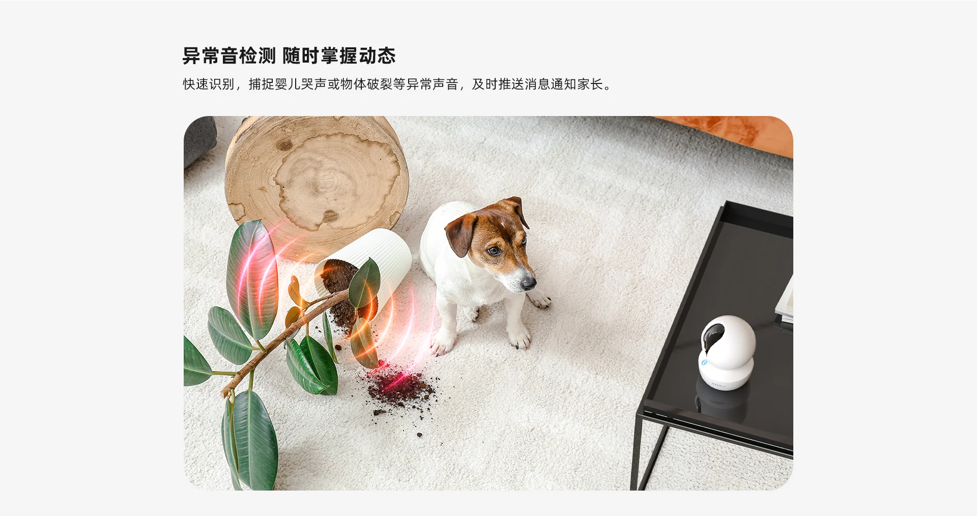 【搭配AI智见年套餐】TA3R Pro 500万室内云台
