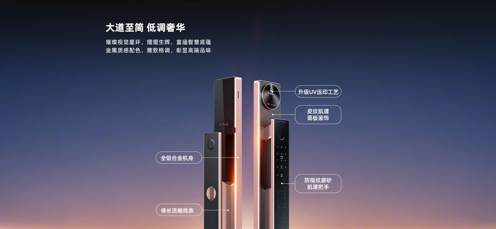 LIGHT1-sxp 掌静脉双摄智能人脸门锁