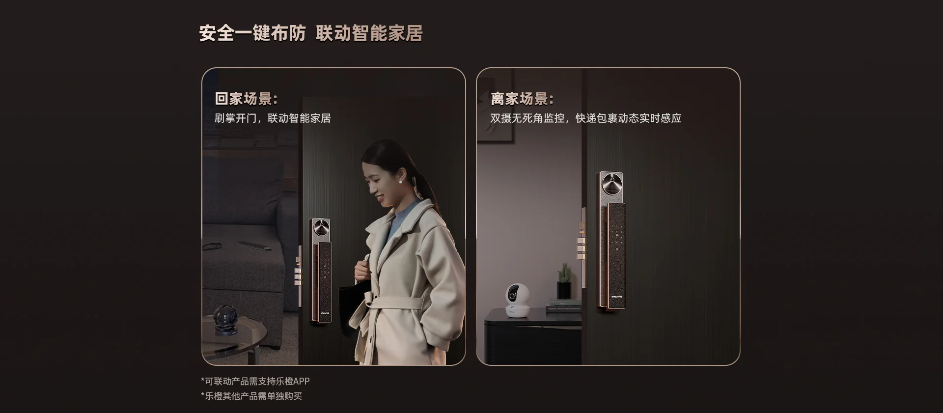 LIGHT1-sxp 掌静脉双摄智能人脸门锁